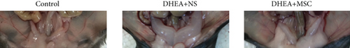 Details are in the caption following the image Details are in the caption following the image