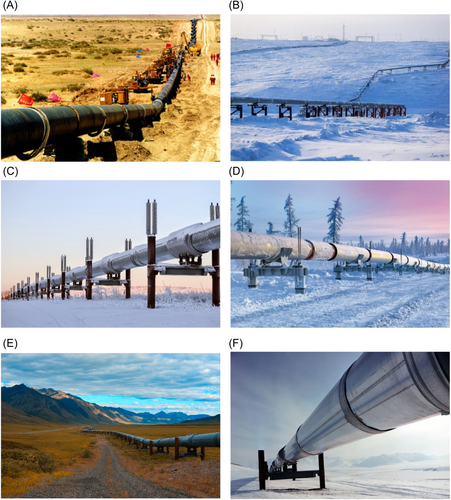 Details are in the caption following the image Details are in the caption following the image