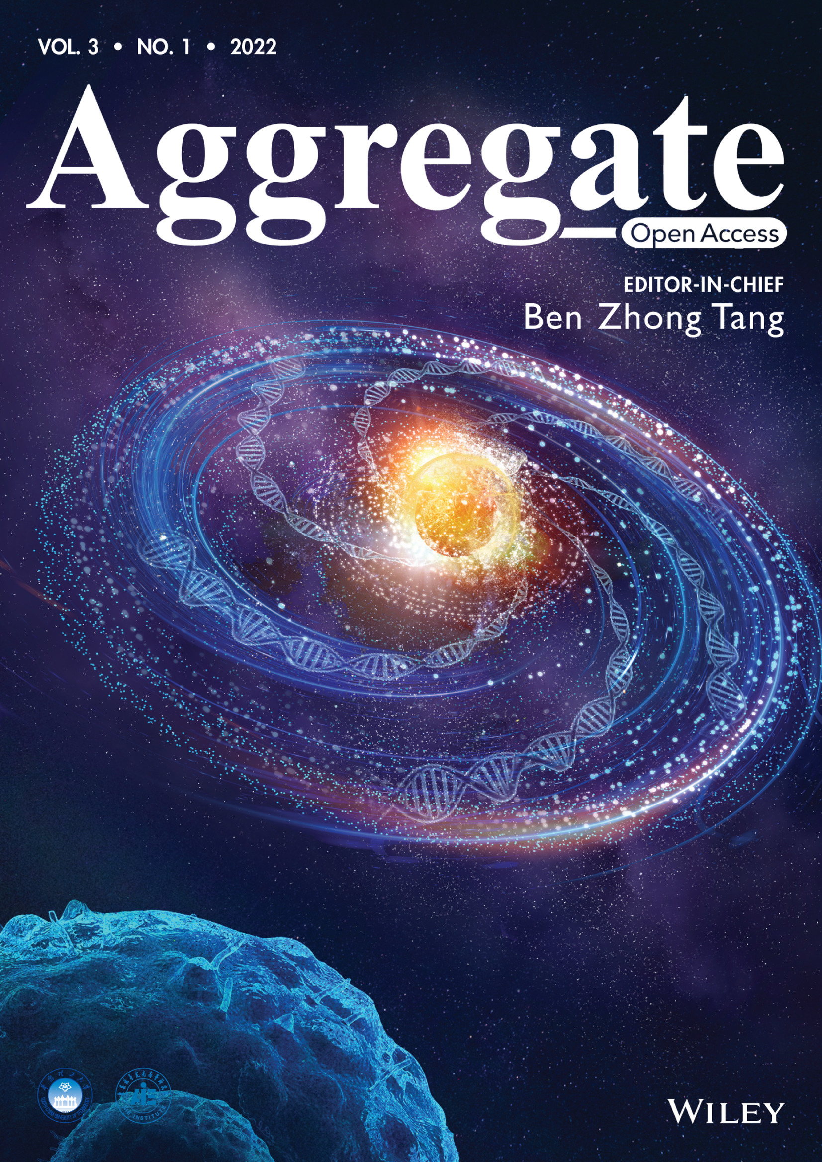 Front Cover: Spherical nucleic acids: Organized nucleotide aggregates as versatile nanomedicine Volume 3 Issue 1, 2022