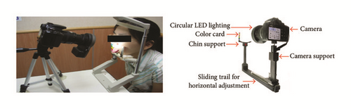 Details are in the caption following the image Details are in the caption following the image