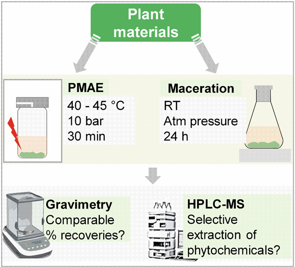 Comparison of extraction efficiency and selectivity between low-temperature pressurized microwave-assisted extraction and prolonged maceration