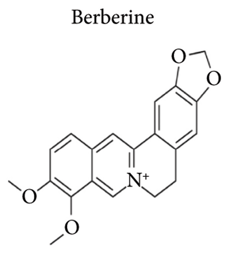 Details are in the caption following the image