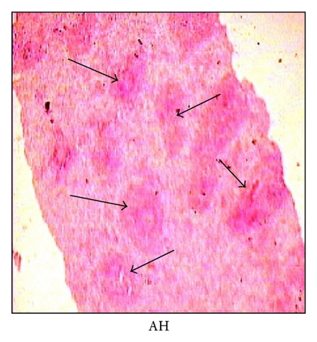 Details are in the caption following the image
