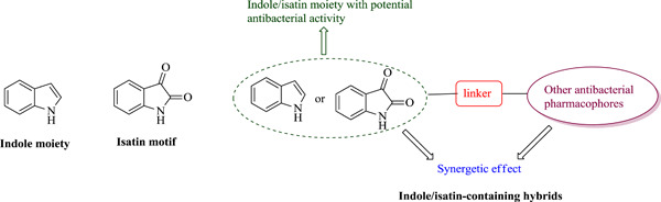 Indole/isatin-containing hybrids as potential antibacterial agents