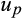 urn:x-wiley:00130249:media:ecor12538:ecor12538-math-0177