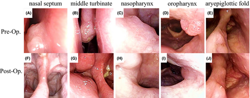 Details are in the caption following the image Details are in the caption following the image
