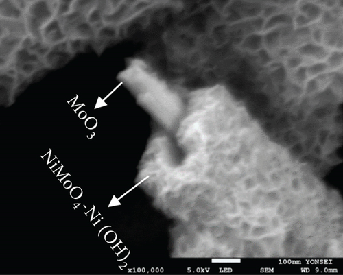 Details are in the caption following the image