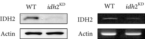 Details are in the caption following the image