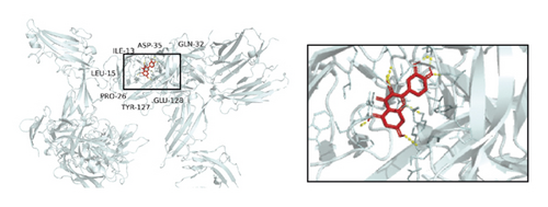 Details are in the caption following the image Details are in the caption following the image