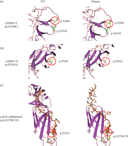 Details are in the caption following the image Details are in the caption following the image