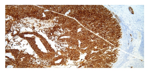 Details are in the caption following the image