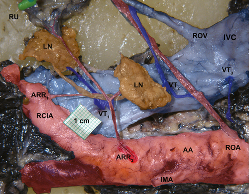 Details are in the caption following the image Details are in the caption following the image