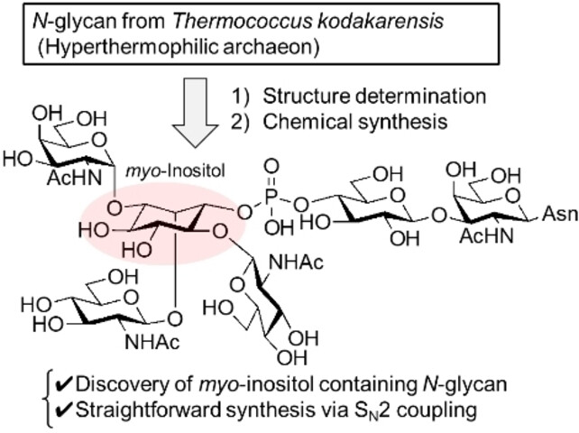 Structural Determination and Chemical Synthesis of the N-Glycan from the Hyperthermophilic Archaeon Thermococcus kodakarensis