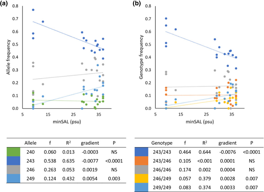 Limited population genetic variation but pronounced seascape genetic structuring in populations of the Mediterranean mussel (Mytilus galloprovincialis) from the eastern Adriatic Sea