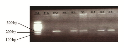 Details are in the caption following the image