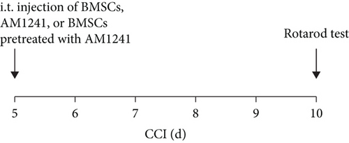 Details are in the caption following the image