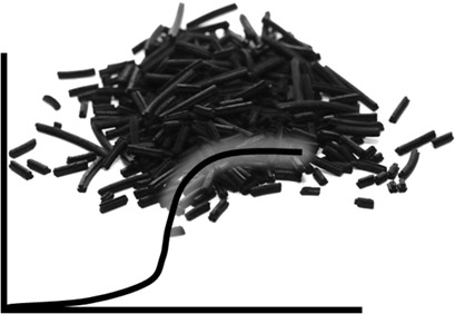 Transient Effects during Dynamic Operation of a Wall-Cooled Fixed-Bed Reactor for CO2 Methanation