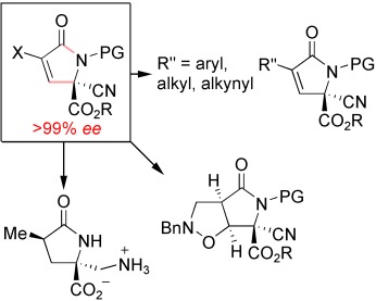 Organocatalytic Asymmetric Synthesis of Versatile γ-Lactams