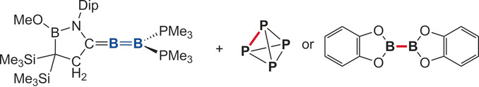 Facile Activation of Homoatomic σ Bonds in White Phosphorus and Diborane by a Diboraallene