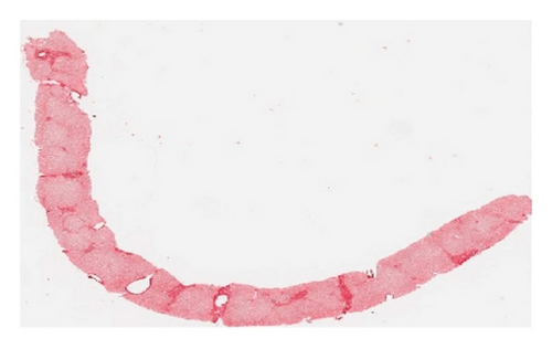 Details are in the caption following the image