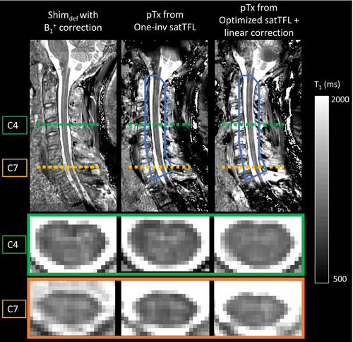 Details are in the caption following the image Details are in the caption following the image