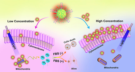 Concentration-Dependent Subcellular Distribution of Ultrasmall Near-Infrared-Emitting Gold Nanoparticles