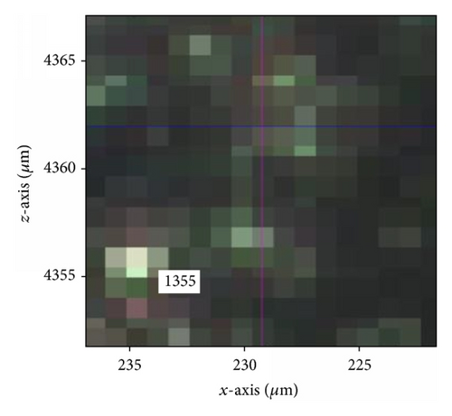 Details are in the caption following the image Details are in the caption following the image