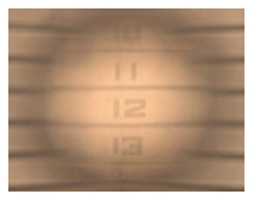 Details are in the caption following the image
