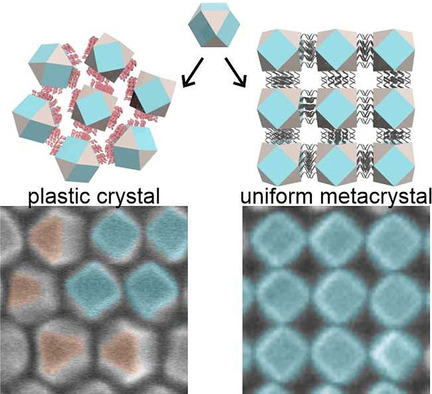 Modulating Orientational Order to Organize Polyhedral Nanoparticles into Plastic Crystals and Uniform Metacrystals
