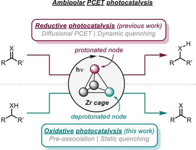 Multisite Proton-Coupled Electron Transfer Facilitates Oxidative Photocatalysis in a Molecular Zr-Based Coordination Compound