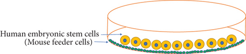 Details are in the caption following the image