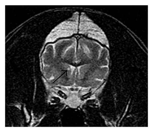 Details are in the caption following the image