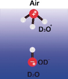 The Surface Activity of the Hydrated Proton Is Substantially Higher than That of the Hydroxide Ion