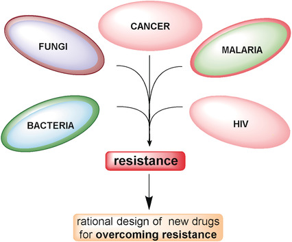 A Structural View on Medicinal Chemistry Strategies against Drug Resistance