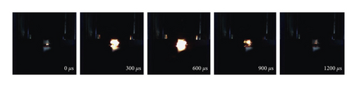 Details are in the caption following the image Details are in the caption following the image