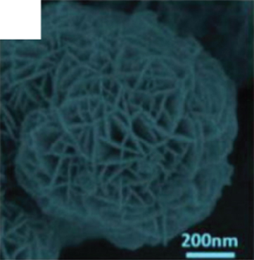 Details are in the caption following the image