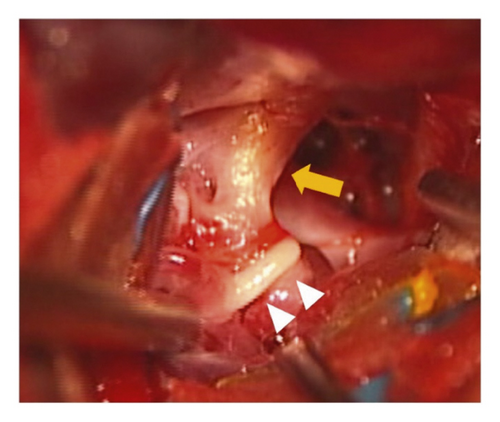 Details are in the caption following the image Details are in the caption following the image