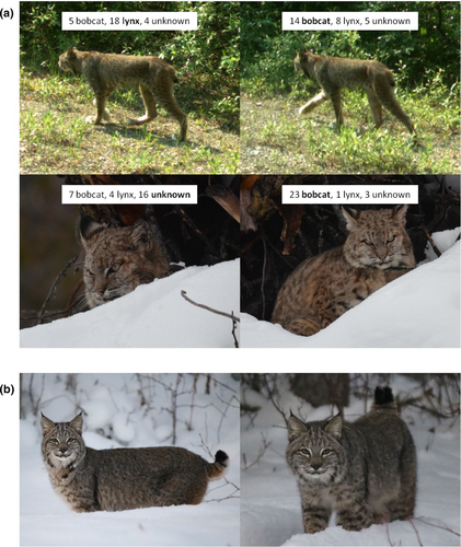 Details are in the caption following the image