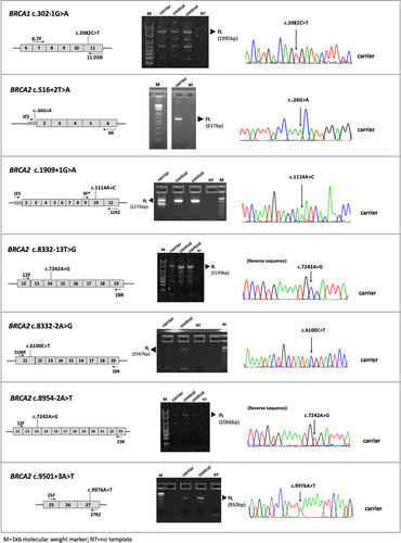 Details are in the caption following the image Details are in the caption following the image