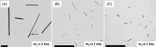 Details are in the caption following the image