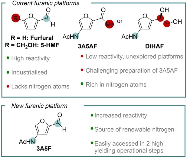 Unlocking the Potential of Bio-Based Nitrogen-Rich Furanic Platforms as Biomass Synthons