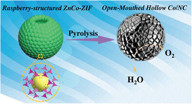 Open-Mouthed Hollow Carbons: Systematic Studies as Cobalt- and Nitrogen-Doped Carbon Electrocatalysts for Oxygen Reduction Reaction