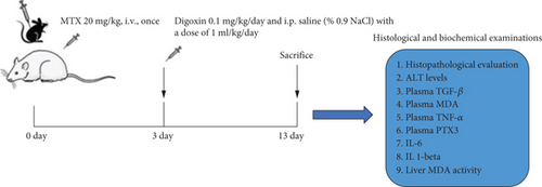 Details are in the caption following the image Details are in the caption following the image