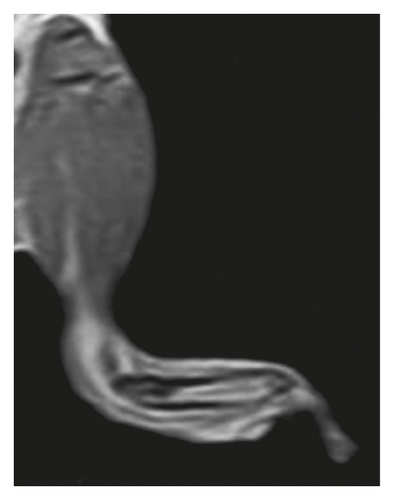 Details are in the caption following the image