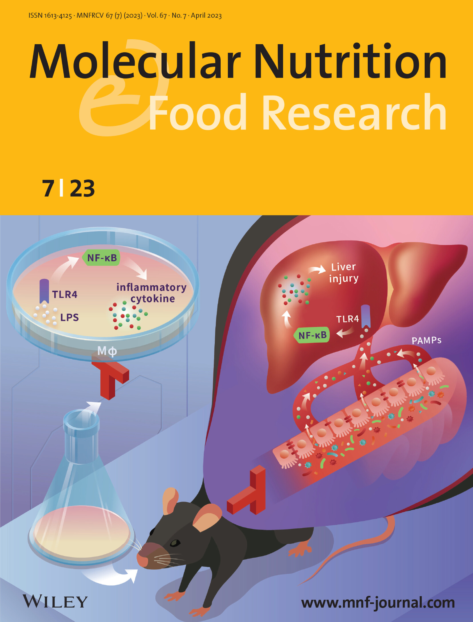 Front Cover: A Synbiotic Ameliorates Con A-Induced Autoimmune Hepatitis in Mice through Modulation of Gut Microbiota and Immune Imbalance Volume 67 Issue 7, 2023