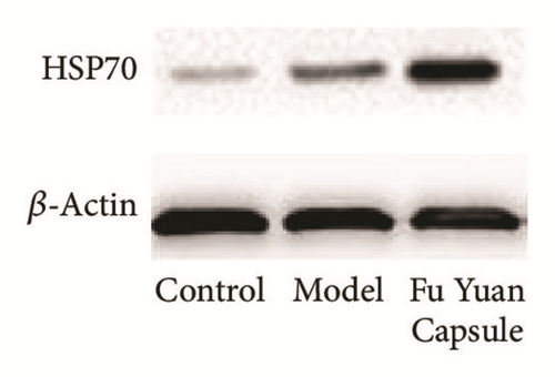 Details are in the caption following the image
