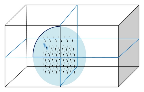 Details are in the caption following the image
