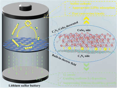Spontaneous Built-In Electric Field in C3N4-CoSe2 Modified Multifunctional Separator with Accelerating Sulfur Evolution Kinetics and Li Deposition for Lithium-Sulfur Batteries