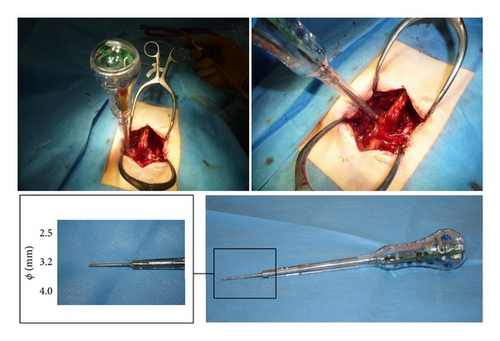 Details are in the caption following the image Details are in the caption following the image