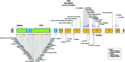 Further delineation of Malan syndrome